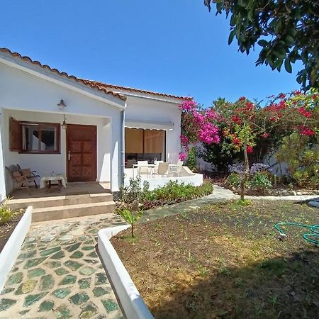 Schoene Wohnung In Puerto De La Cruz Mit Garten. 외부 사진